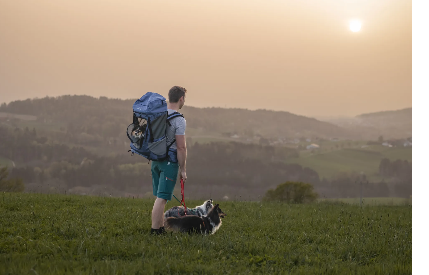 Deine Wanderung zu unvergesslichen Erinnerungen mit Hund und dem Wanderrucksack von Wanderpfote