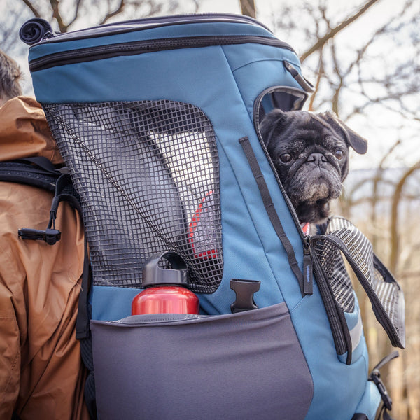 Wanderpfote Hunderucksäcke in Größe M für Hunde bis 47cm Sitzhöhe oder bis 10 bis 15 kg