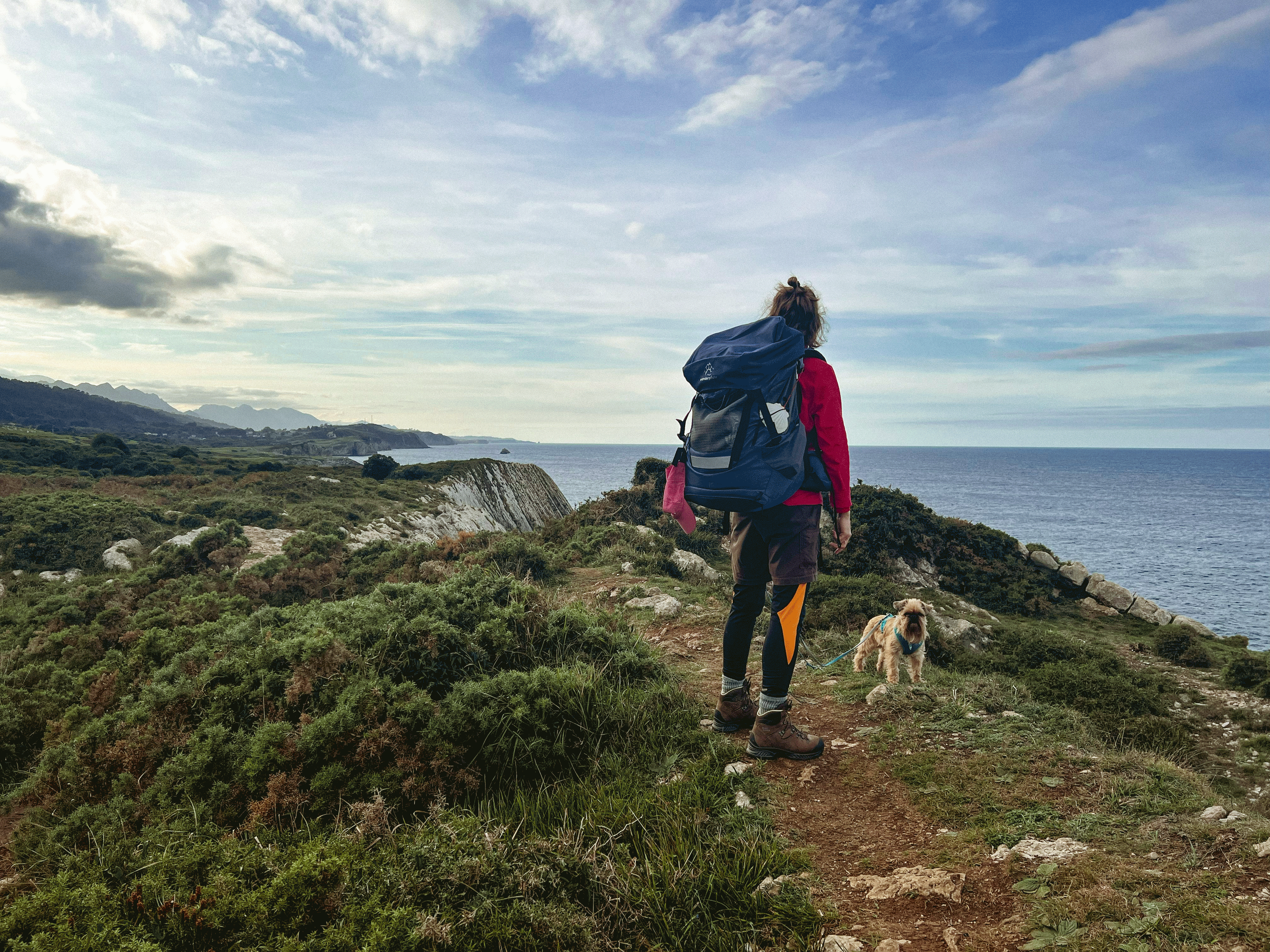 Der Jakobsweg mit Hund im Gepäck - Ein Erfahrungsbericht vom Camino del Norte
