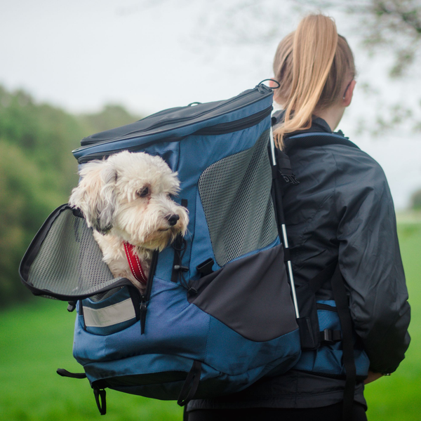 Wanderpfote Hunderucksäcke in Größe S für Hunde bis 37cm Sitzhöhe oder bis 5 bis 7 bis 10 kg