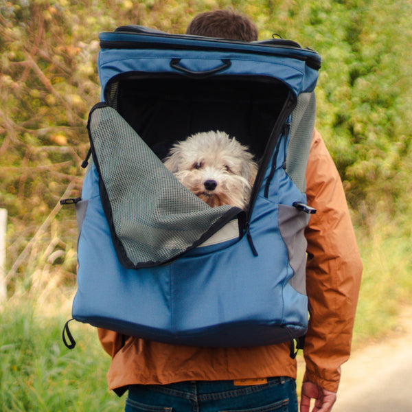 Hunderucksäcke für Hunde bis 57cm Sitzhöhe (ca. 20kg)