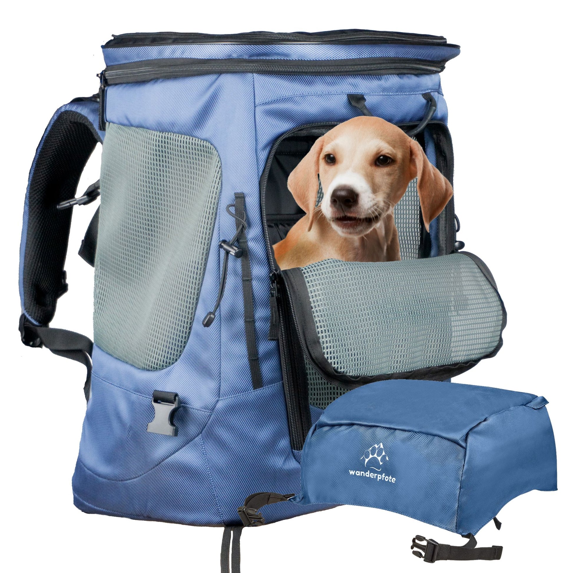 Wanderpfote Hunderucksack Größe M in blau - Daypack