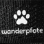 Hundeschuhe Active - 4er Set