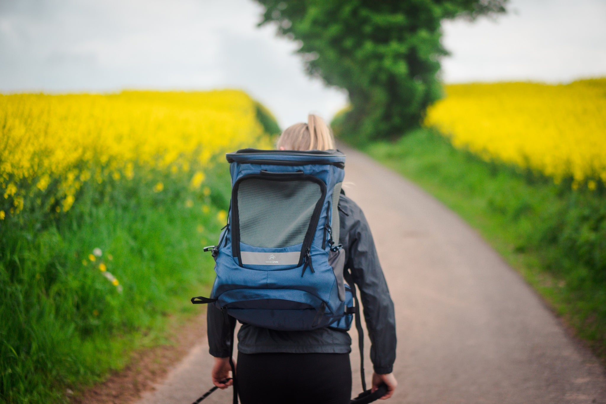 Wanderpfote Hunderucksack Größe S für lange Ausflüge zum Wandern und Trekking